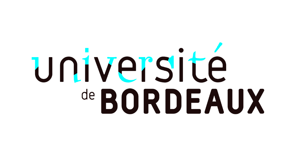 LOGO - IONBIKE 2.0 CONSORTIUM -UNIVERSITE DE BORDEAUX