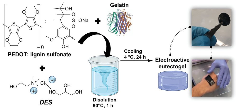 Picchio et al 2022-2 graphical abstract