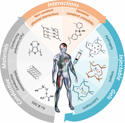 graphical abstract 'Recent Advances and Developments in Injectable Conductive Polymer Gels for Bioelectronics'