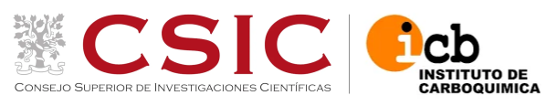 CSIC LOGO 