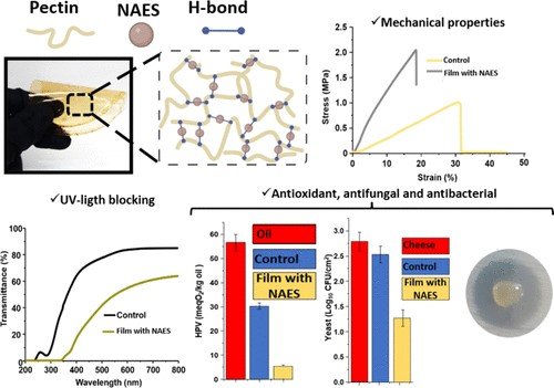 Marianela Zoratti et all