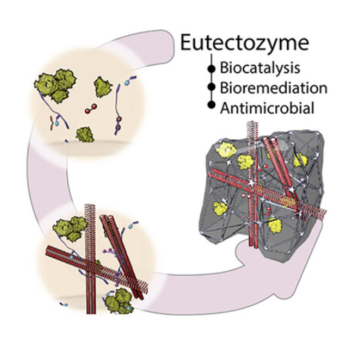 graphical abstract 'Recent Advances and Developments in Injectable Conductive Polymer Gels for Bioelectronics'