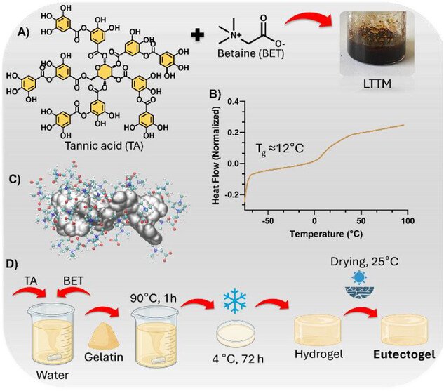 graphical abstract 'Recent Advances and Developments in Injectable Conductive Polymer Gels for Bioelectronics'